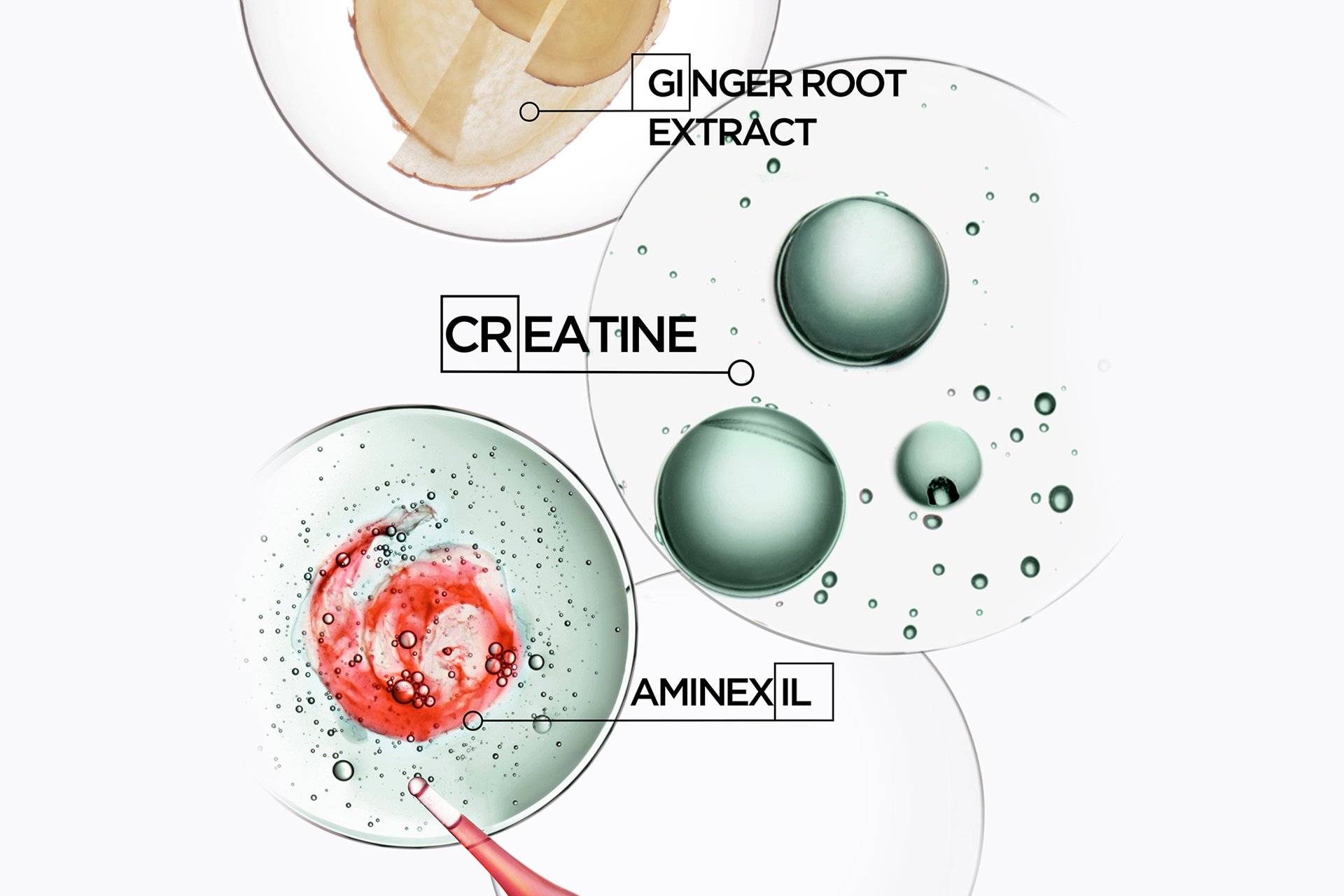 Kérastase Genesis Homme ingredients: creatine, aminexil and ginger root extract